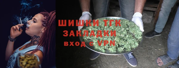 индика Россошь