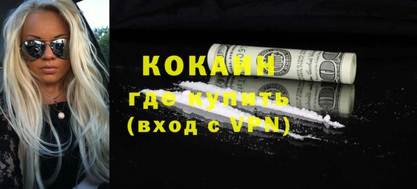 прущие грибы Рославль