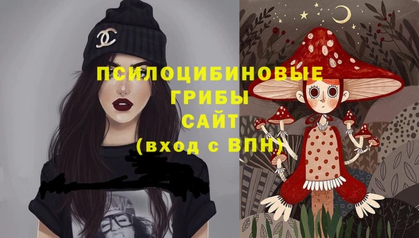 винт Протвино
