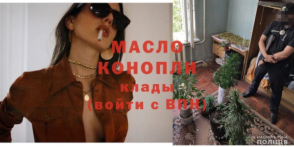 индика Россошь