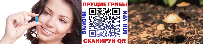 Купить где  Ясногорск  Галлюциногенные грибы MAGIC MUSHROOMS 